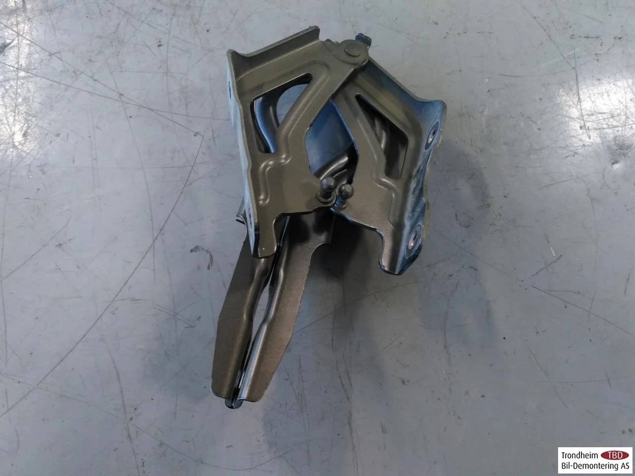 Xpeng P7 2022- Hood hinge(s)