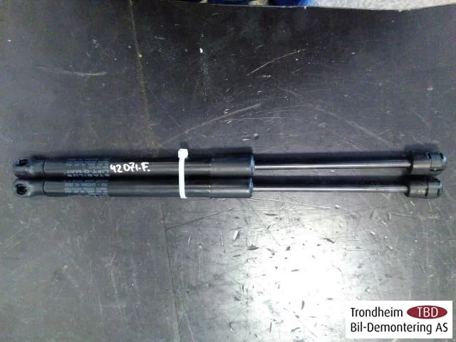 Tesla MODEL 3 2017--> Hood gas strut