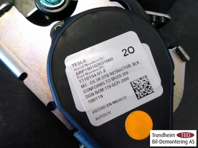 Tesla MODEL 3 2017--> Rear right seat belt view 2