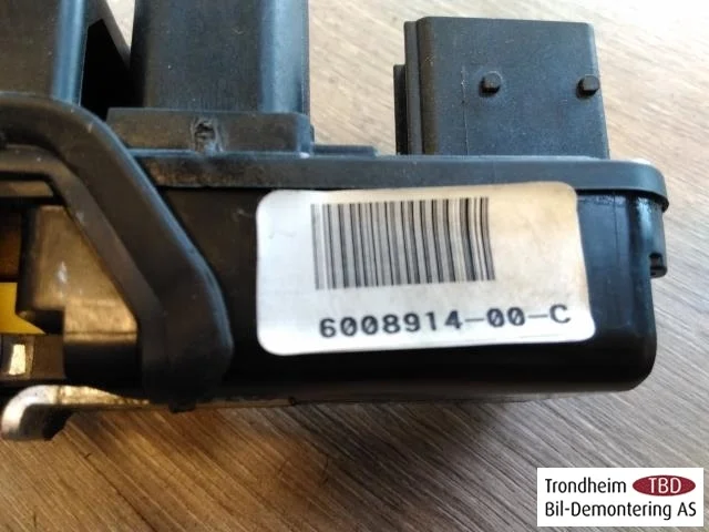Tesla MODEL S 2013- Door lock housing view 2