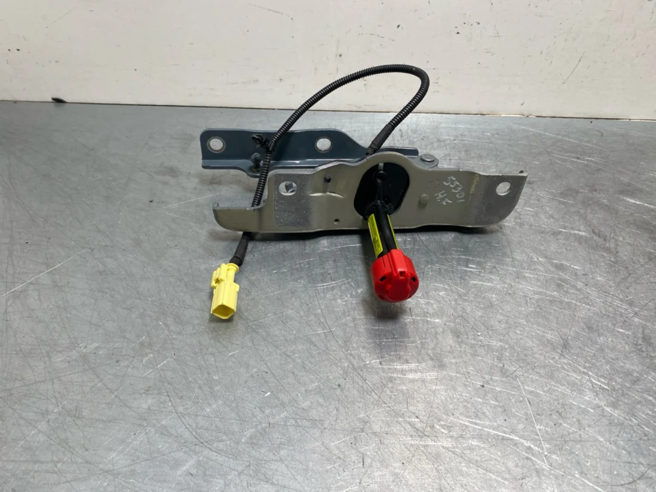 Hood hinge(s)