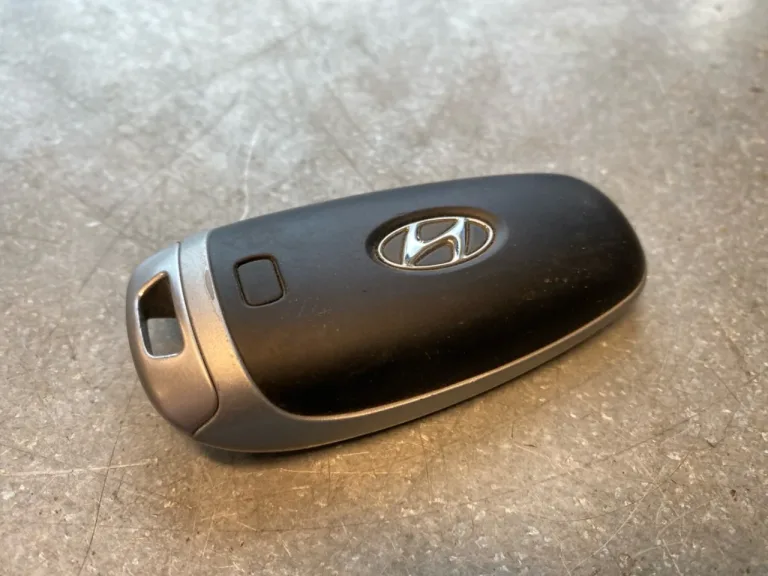 Hyundai IONIQ 5 NE 2022- Telecomandă, închidere centralizată / alarmă
