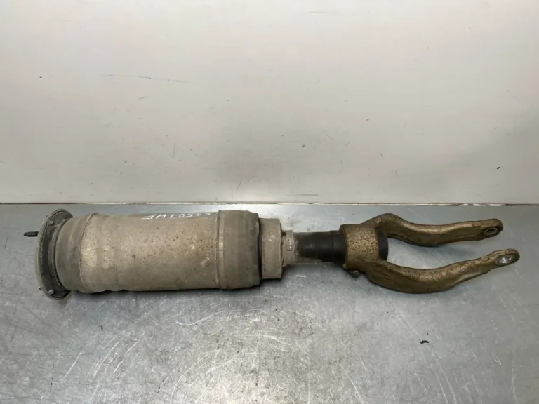 Jaguar I-PACE 2018- Air spring bellows / air cushion, level control