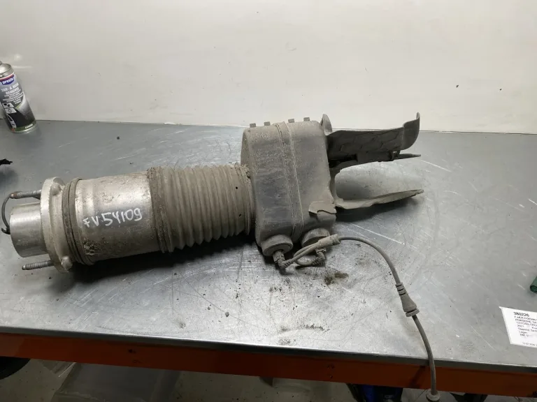 Porsche TAYCAN 2020- Air spring bellows / air cushion, level control